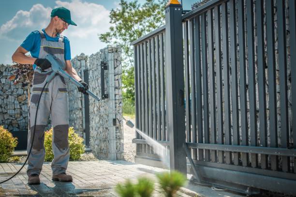 Best Solar Panel Cleaning  in Mendota, IL