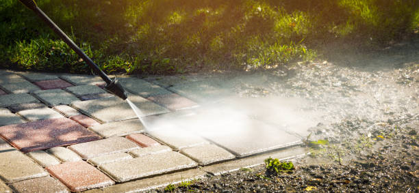 Best Graffiti Removal  in Mendota, IL