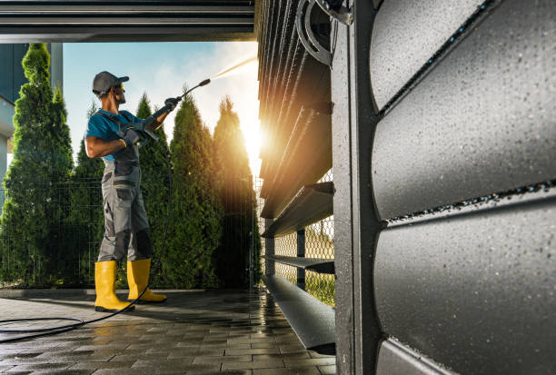 Best Sidewalk and Walkway Cleaning  in Mendota, IL